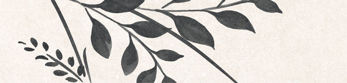 Black Decor 1 Matt 6x25